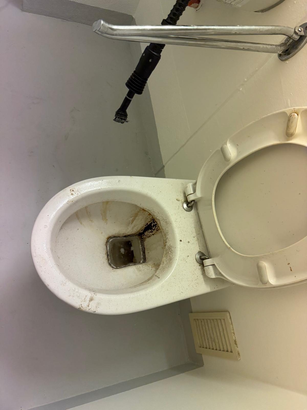 Stark verschmutztes WC vor der Reinigung